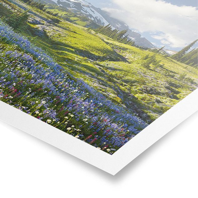 Obraz drzewo Mountain Meadow With Blue Flowers in Front of Mt. Rainier