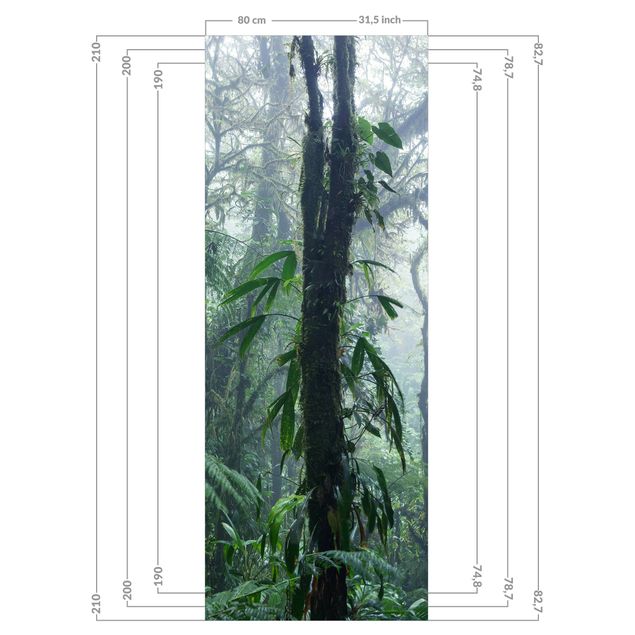 Tylna ścianka prysznicowa - Monteverde Cloud Forest