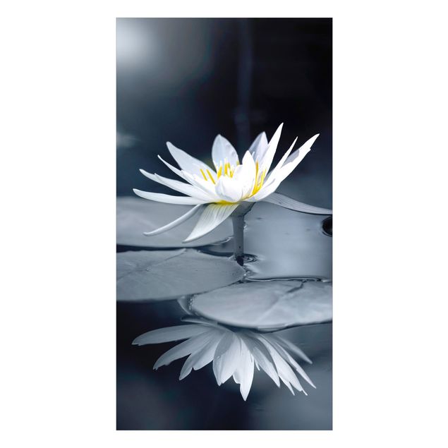 Tylna ścianka prysznicowa - Lotus Reflection In The Water