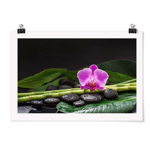 Obrazy nowoczesne Zielony bambus z kwiatem orchidei
