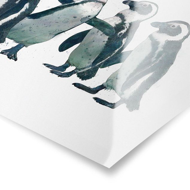 Czarno białe plakaty Ilustracja pingwinów czarno-biały Akwarela