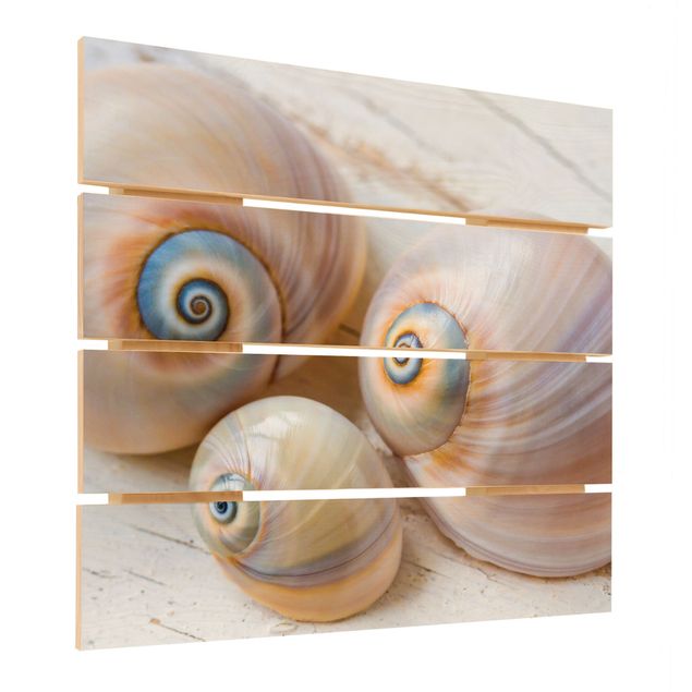 Obraz z drewna - Shell Trio na drewnie