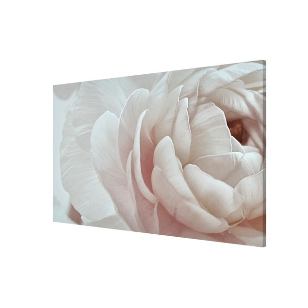 Obrazy nowoczesne Biały kwiat w morzu kwiatów