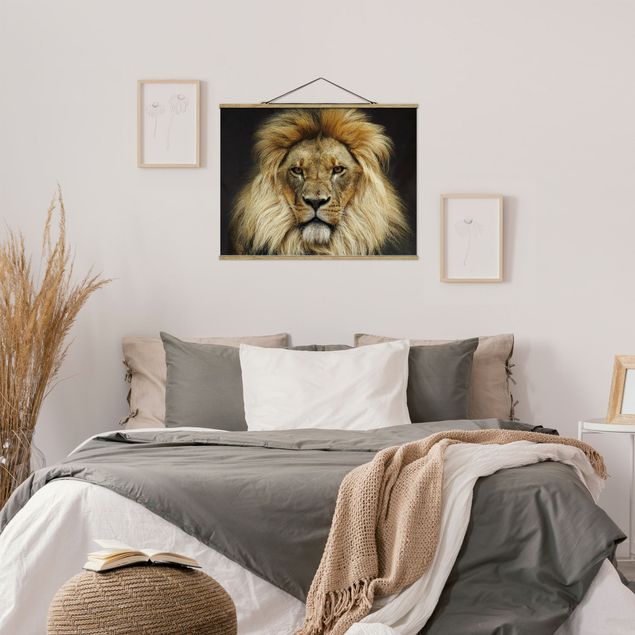 Nowoczesne obrazy Mądrość lwa