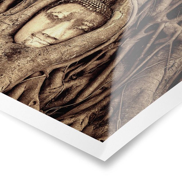 Obrazy duchowość Budda w Ayutthaya otoczony korzeniami drzew w kolorze brązowym