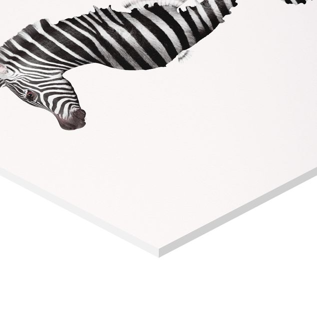 Czarno białe obrazy Konik morski w paski zebry