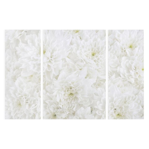 Obrazy na ścianę Dahlie Morze kwiatów białe