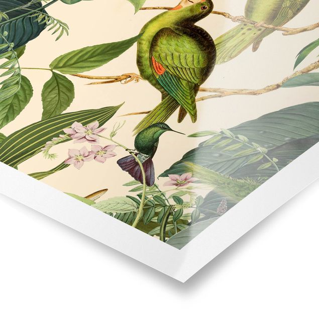 Retro obrazy Kolaże w stylu vintage - Papugi w dżungli