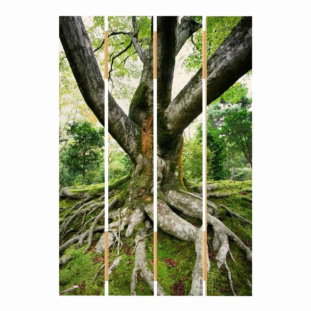 Obraz z drewna - Stare drzewo