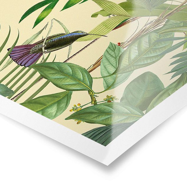 Obrazy retro Kolaże w stylu vintage - Ptaki w dżungli