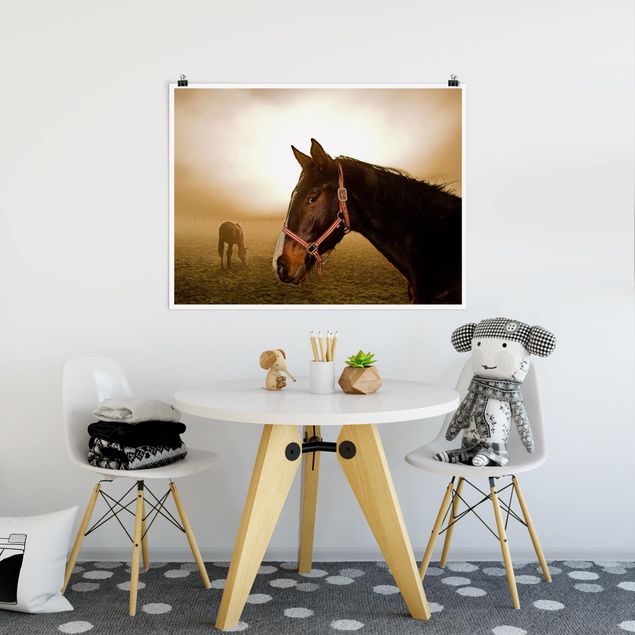Obrazy nowoczesne Wczesny koń