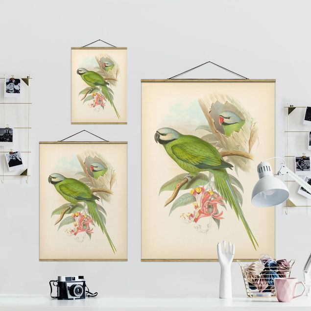 Zielony obraz Ilustracja w stylu vintage Ptaki tropikalne II