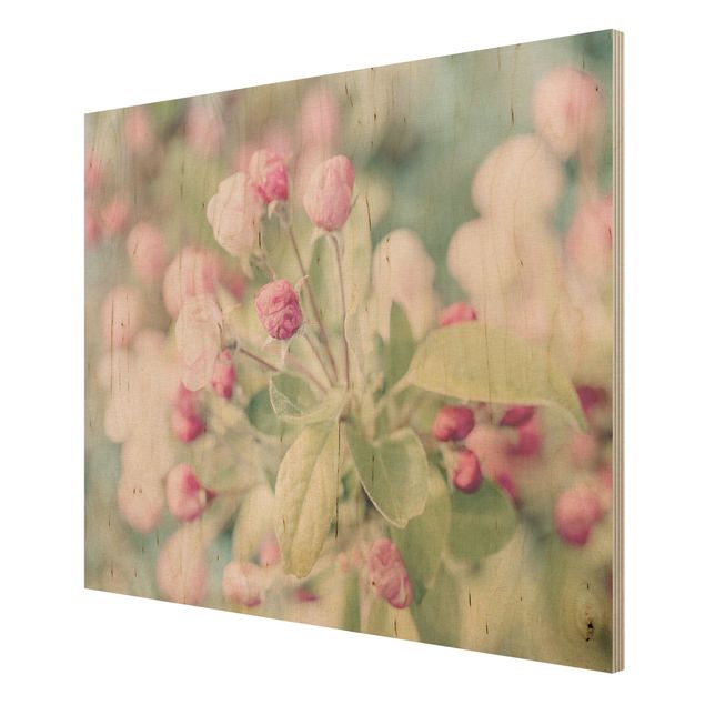 Obrazy na ścianę Kwiat jabłoni bokeh różowy
