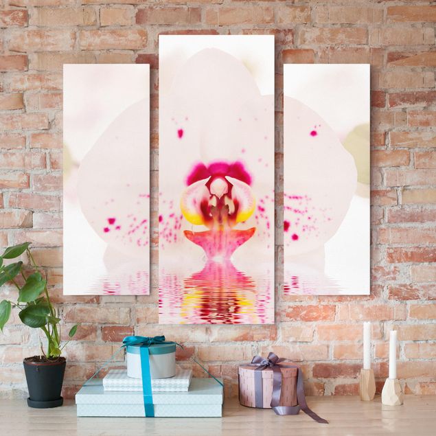 Obrazy do salonu nowoczesne Orchidea w kropki na wodzie