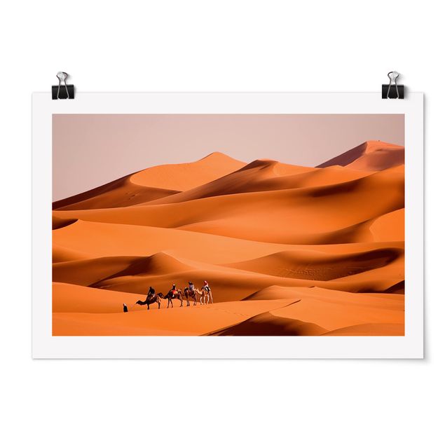 Obrazy krajobraz Pustynia Namib