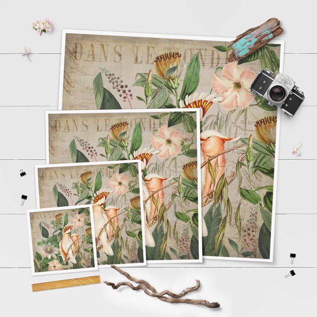 Obrazy kwiatowe Kolaże w stylu kolonialnym - Różowy kakadu