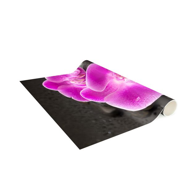 chodnik dywan Kwiaty różowej orchidei na kamieniach z kroplami