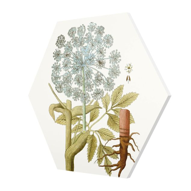 Obrazy kwiatowe Dzikie zioła tablica III