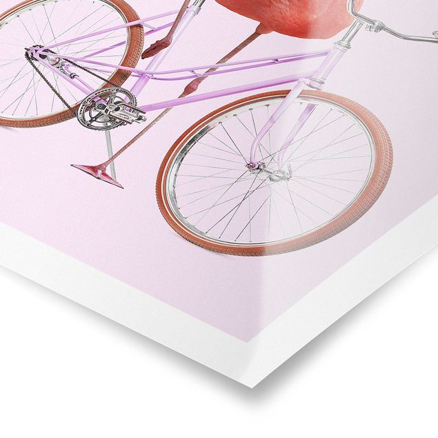 Plakaty ze zwierzętami Flamingo z rowerem
