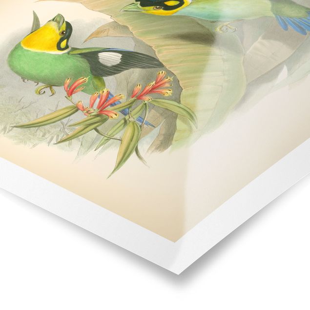 Zielony obraz Ilustracja w stylu vintage - ptaki tropikalne