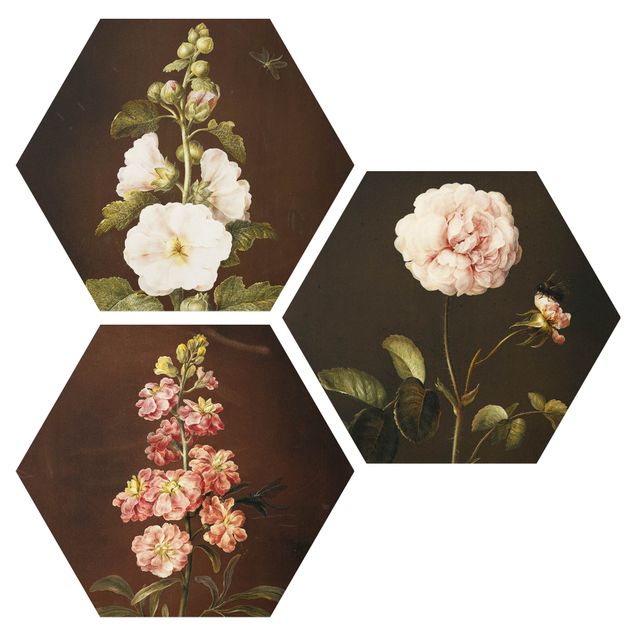 Obraz heksagonalny z Forex 3-częściowy - Barbara Regina Dietzsch - Róże i Lewkoje