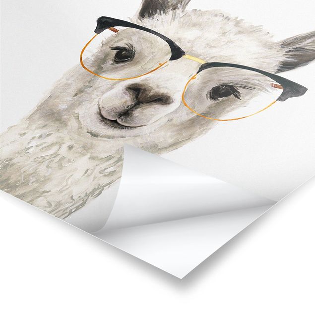 Plakaty ze zwierzętami Hippy Llama w okularach I