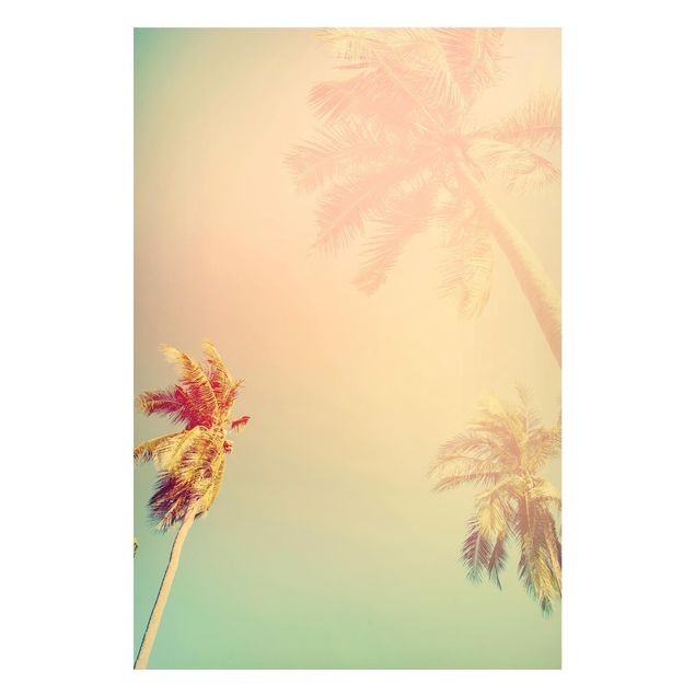 Obrazy do salonu nowoczesne Rośliny tropikalne Palmy o zachodzie słońca III