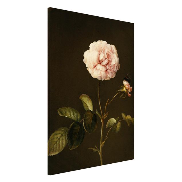 Obrazy do salonu Barbara Regina Dietzsch - Róża octowa z trzmielem