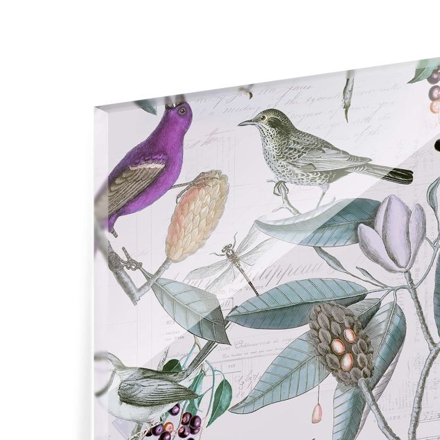 Panel szklany do kuchni - Vintage Collage - Nostalgic Birds