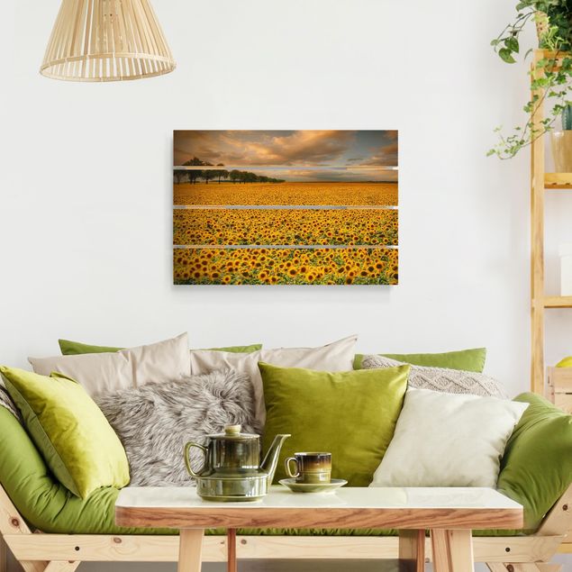 Obrazy na ścianę Pole z słonecznikami