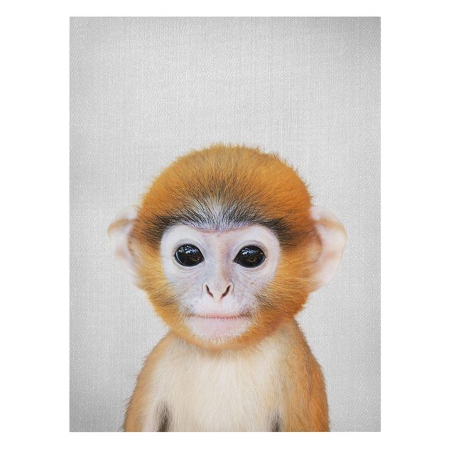 Zwierzęta obrazy Baby Monkey Anton