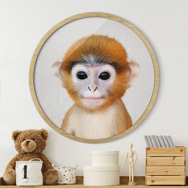 Małpa obraz Mała małpka Anton