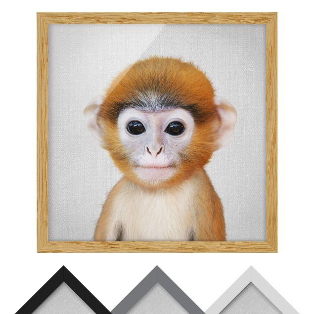 Nowoczesne obrazy Baby Monkey Anton