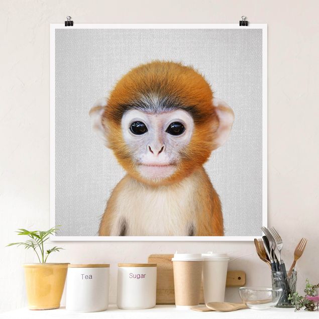 Małpa obraz Baby Monkey Anton