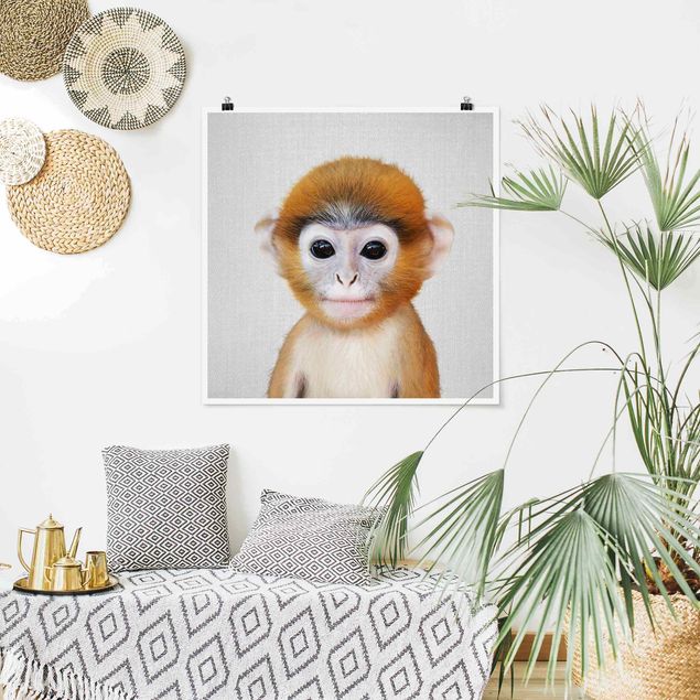 Obrazy do salonu Baby Monkey Anton