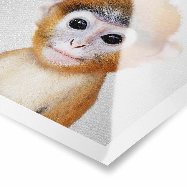 Czarno białe obrazy Baby Monkey Anton