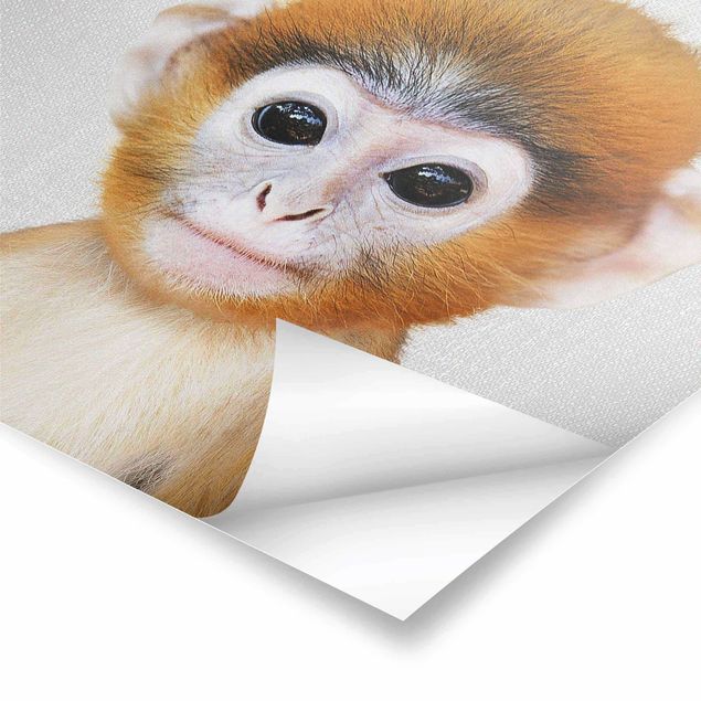 Plakaty czarno białe Baby Monkey Anton