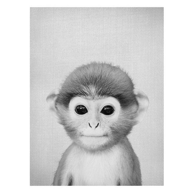 Zwierzęta obrazy Baby Monkey Anton Black And White