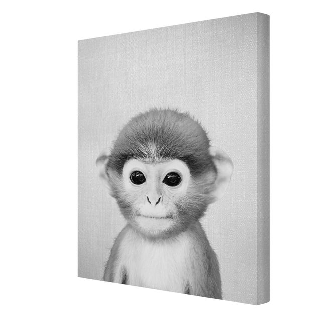 Czarno białe obrazki Baby Monkey Anton Black And White