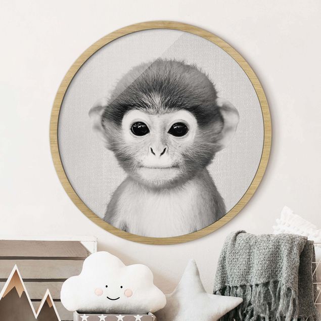 Małpa obraz Mała małpka Anton czarno-biały