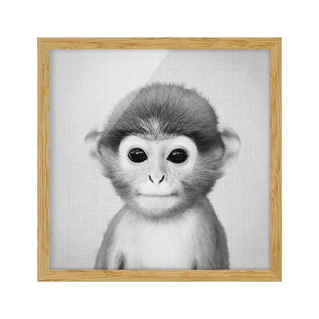 Obrazy w ramie zwierzęta Baby Monkey Anton Black And White
