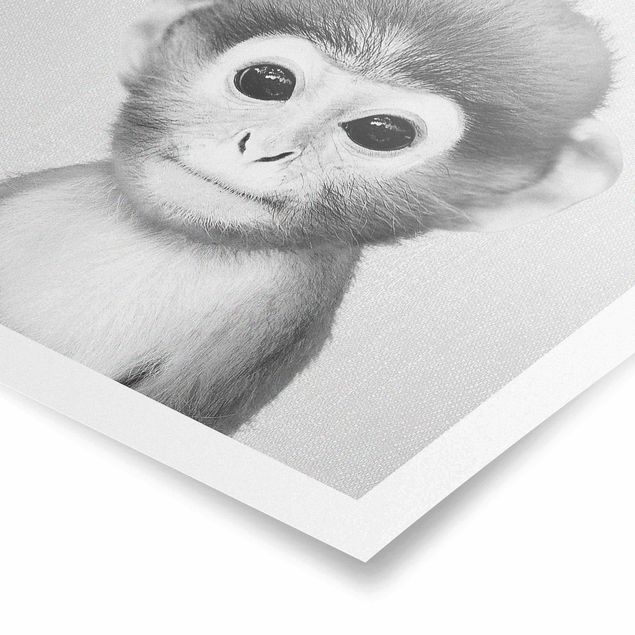 Obrazy zwierzęta Baby Monkey Anton Black And White