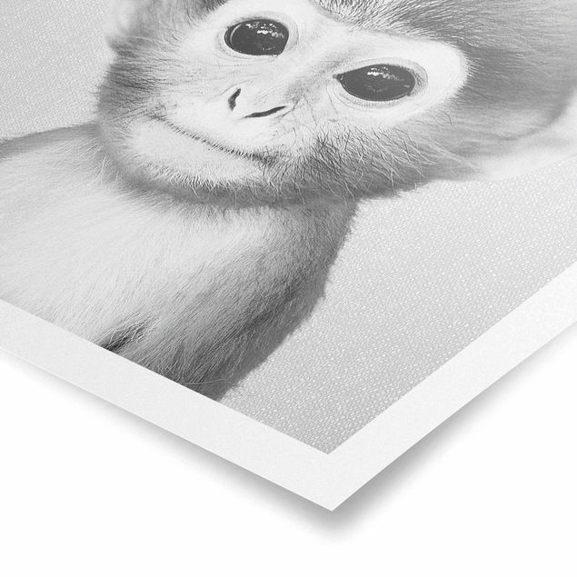 Obrazy zwierzęta Baby Monkey Anton Black And White