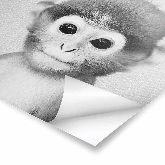 Plakaty czarno białe Baby Monkey Anton Black And White