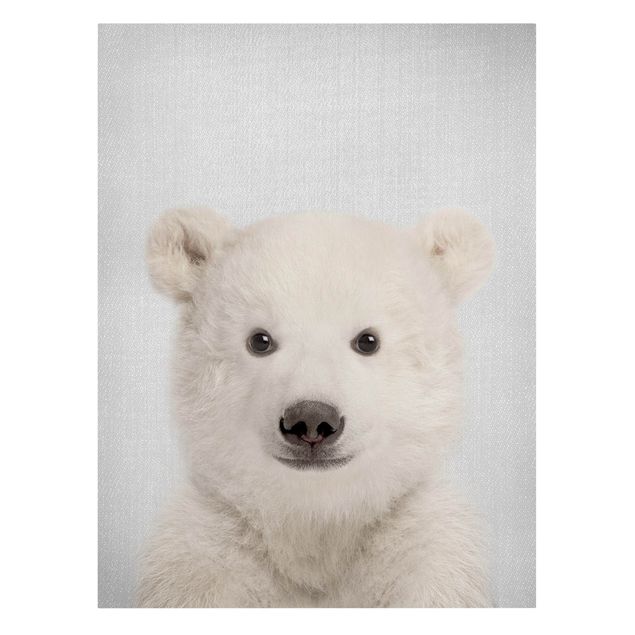 Obrazy zwierzęta Baby Polar Bear Emil