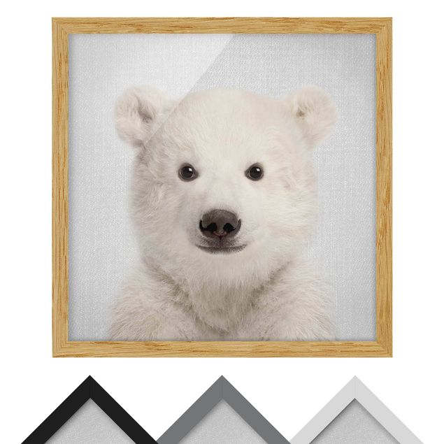 Obrazy nowoczesny Baby Polar Bear Emil