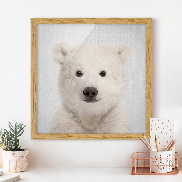 Obraz misia Baby Polar Bear Emil