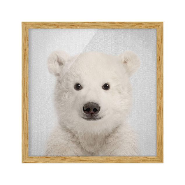Obrazy w ramie zwierzęta Baby Polar Bear Emil