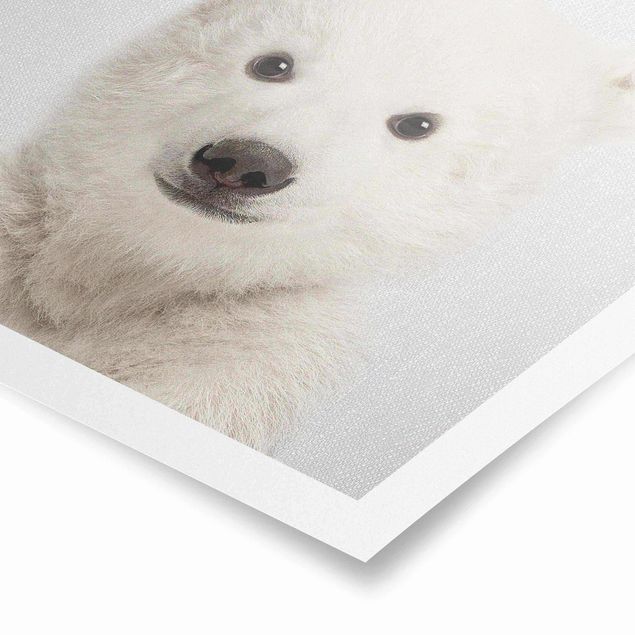 Obrazy ze zwierzętami Baby Polar Bear Emil