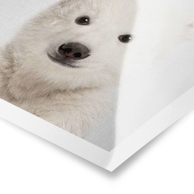 Obrazki czarno białe Baby Polar Bear Emil